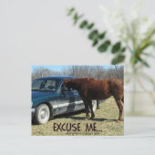 Carte Postale Funny Horse avec voiture Excusez-moi (Debout devant)