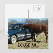 Carte Postale Funny Horse avec voiture Excusez-moi (Devant / Derrière)