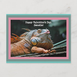 Carte Postale Funny Iguana Valentine