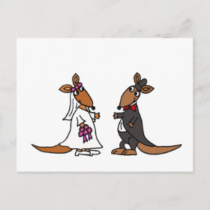 Carte Postale Funny Kangaroo Mariée et Mariage de chambre