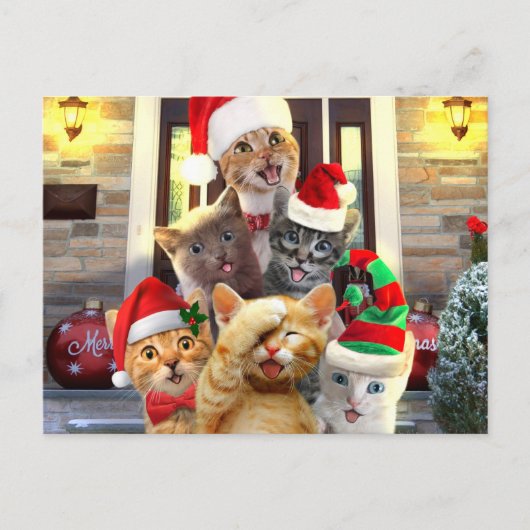 Carte Postale Funny kittens (Devant)