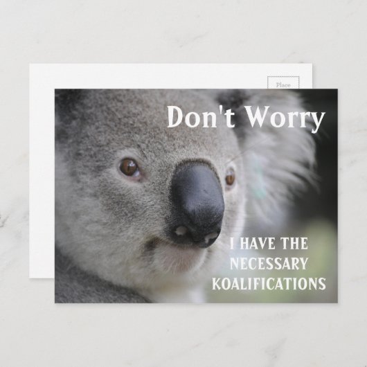 Carte Postale Funny Koala koalifications mème (Devant / Derrière)