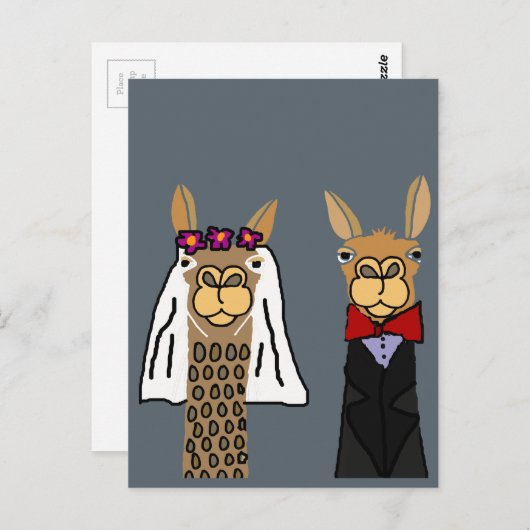 Carte Postale Funny Llama Mariée et Mariage de chambre (Devant / Derrière)