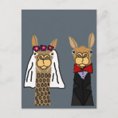Carte Postale Funny Llama Mariée et Mariage de chambre (Devant)