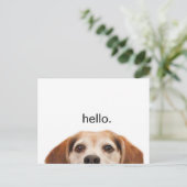 Carte Postale Funny mignon chien Beagle Hello Modern (Debout devant)