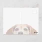 Carte Postale Funny mignon chien Beagle Hello Modern (Dos)