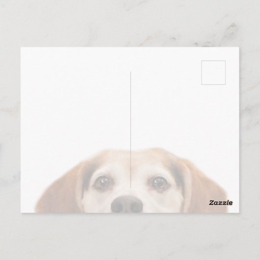 Carte Postale Funny mignon chien Beagle Hello Modern (Dos)