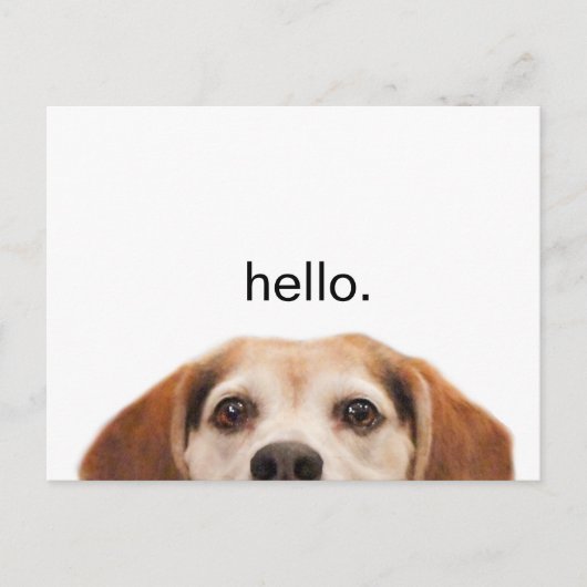 Carte Postale Funny mignon chien Beagle Hello Modern (Devant)