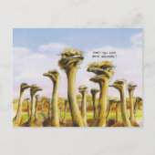 Carte Postale Funny Ostridge (Devant)