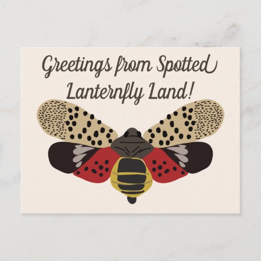 Carte Postale Funny Pennsylvanie tacheté de lanternfly sur mesur (Devant)