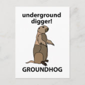 Carte Postale Funny Pet Groundhog (Devant)