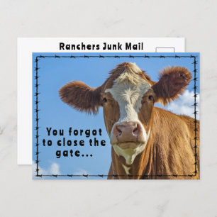 Carte Postale Funny Ranchers Junk Mail Pays Western Tales