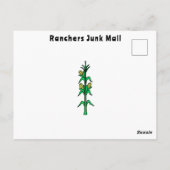 Carte Postale Funny Ranchers Junk Mail Pays Western Tales (Dos)