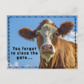 Carte Postale Funny Ranchers Junk Mail Pays Western Tales (Devant)