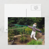 Carte Postale Funny scarecrov (Devant / Derrière)