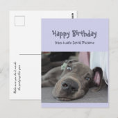 Carte Postale Funny Social Distance Birthday Great Dane Dog (Devant / Derrière)