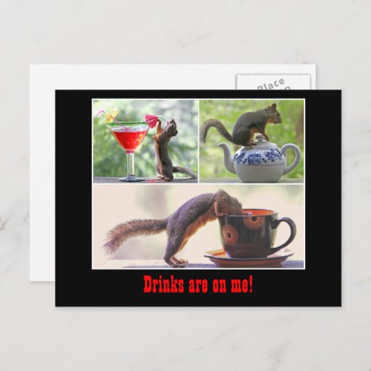 Carte postale Funny Squirrel (Devant / Derrière)