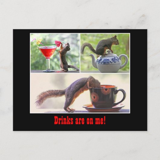 Carte postale Funny Squirrel (Devant)