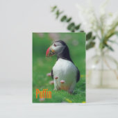 Carte Postale Funny tampin (Debout devant)