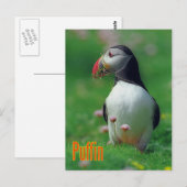 Carte Postale Funny tampin (Devant / Derrière)