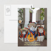 Carte Postale Funny Tres Gatos Espagnol aide pédagogique (Devant / Derrière)
