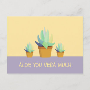 Carte Postale Funny Violet Jaune Aloe Vera Succulent