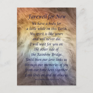 Carte Postale Fur Rainbow Bridge Pet Grief Sympathy Postcards