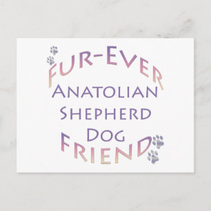 Carte Postale Furever de Chien de Berger Anatolien
