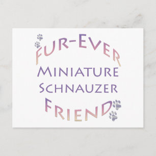 Carte Postale Furever de Schnauzer miniature