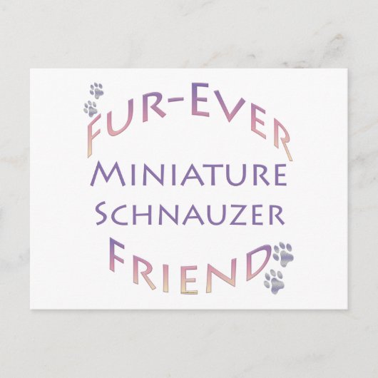 Carte Postale Furever de Schnauzer miniature (Devant)