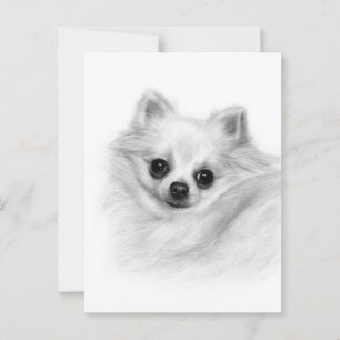 Carte Postale Furry Majesty - Main originale peinte Chihuahua