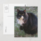 Carte Postale Furry Tuxedo (Devant / Derrière)