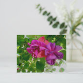 Carte postale Fuschia (Debout devant)