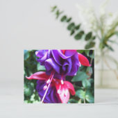 Carte Postale Fuschia 1 (Debout devant)