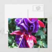 Carte Postale Fuschia 1 (Devant / Derrière)