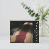 Carte Postale fûts de vino mendoza (Debout devant)