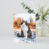 Carte postale "Fuzzer" (Debout devant)