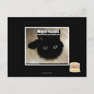 Carte Postale Fuzzés chauds