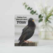 Carte Postale Fuzzy chaud - Penser à vous (Debout devant)