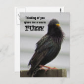 Carte Postale Fuzzy chaud - Penser à vous (Devant / Derrière)