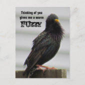 Carte Postale Fuzzy chaud - Penser à vous (Devant)