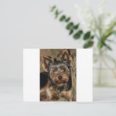 Carte Postale Fuzzy Face Yorkshire Terrier (Debout devant)