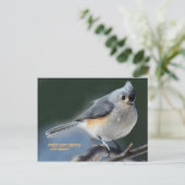 CARTE POSTALE FUZZZY DOUX ET INTELLIGENT (Debout devant)