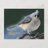 CARTE POSTALE FUZZZY DOUX ET INTELLIGENT (Devant)