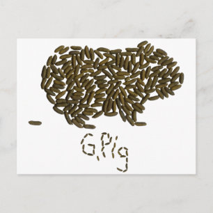 Carte Postale G. Cochon" avec cochon de Guinée classique