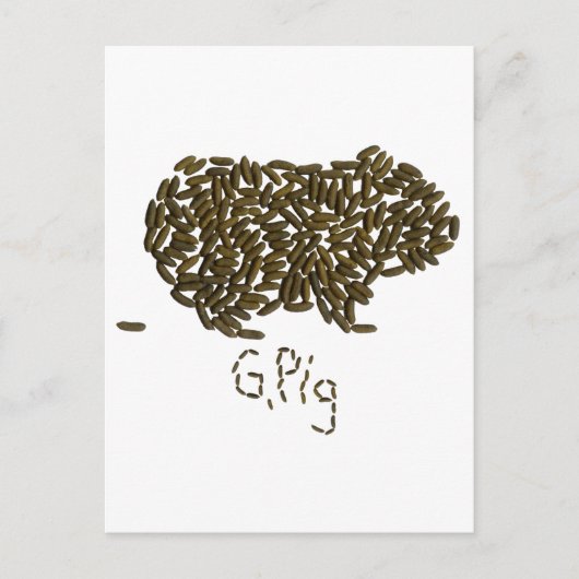 Carte Postale G. Cochon" avec cochon de Guinée classique (Devant)