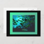 Carte postale GA Aquarium (Devant / Derrière)