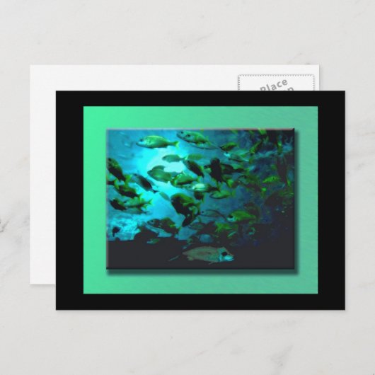 Carte postale GA Aquarium (Devant / Derrière)