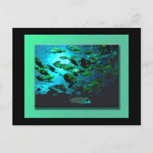 Carte postale GA Aquarium (Devant)