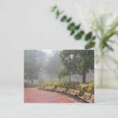 Carte Postale GA Savannah, Azaleas, le long du trottoir en briqu (Debout devant)